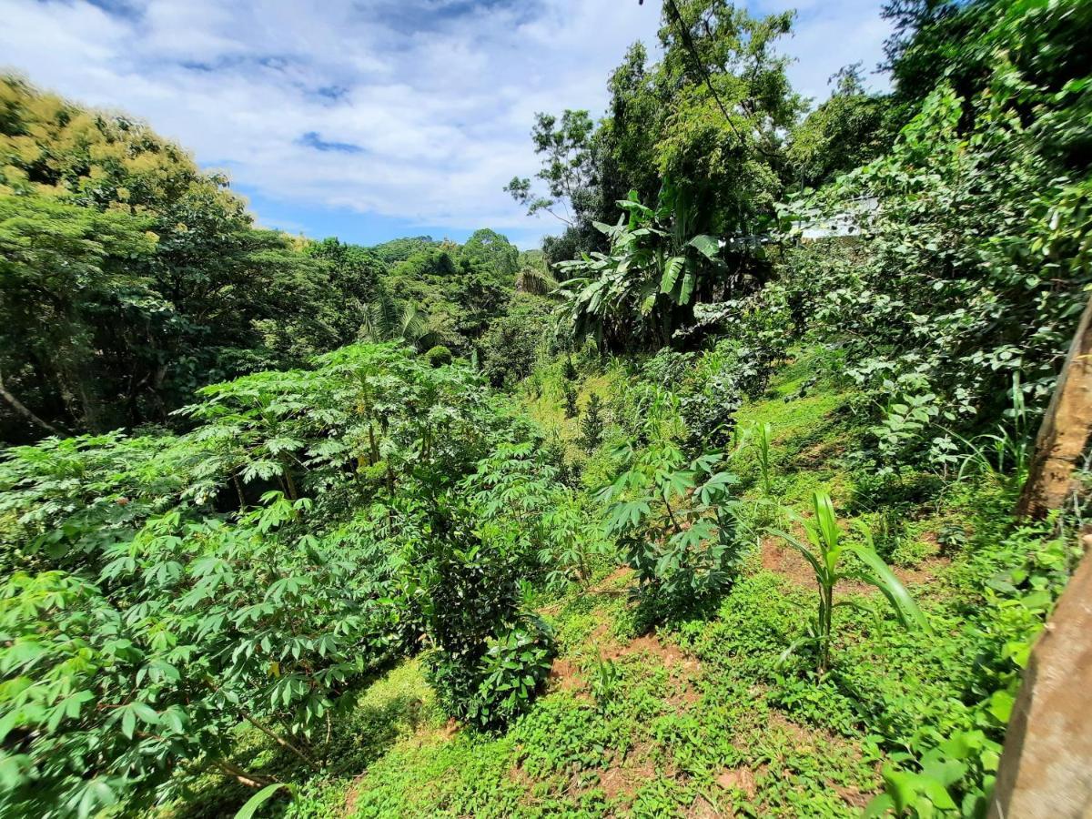Eco-Turismo Guayacanes Sámara المظهر الخارجي الصورة
