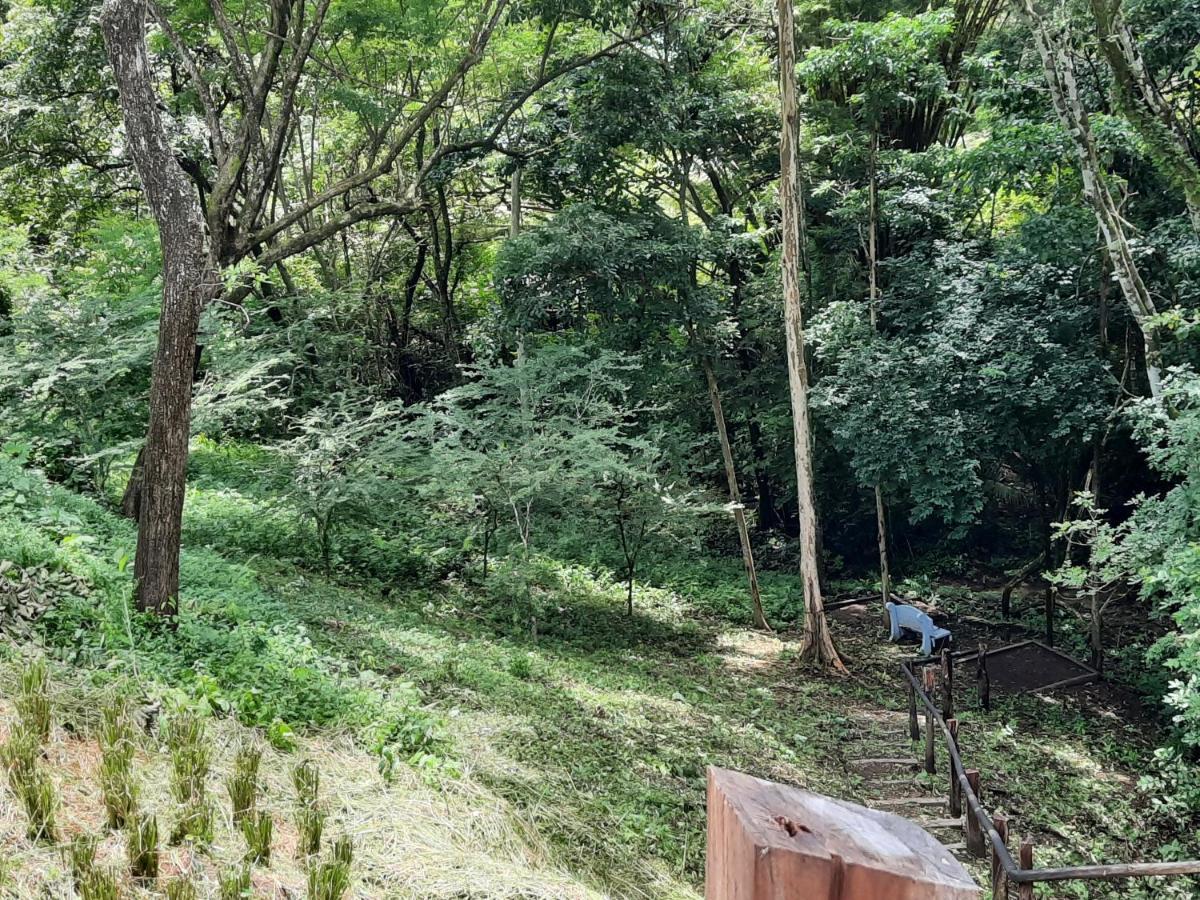 Eco-Turismo Guayacanes Sámara المظهر الخارجي الصورة